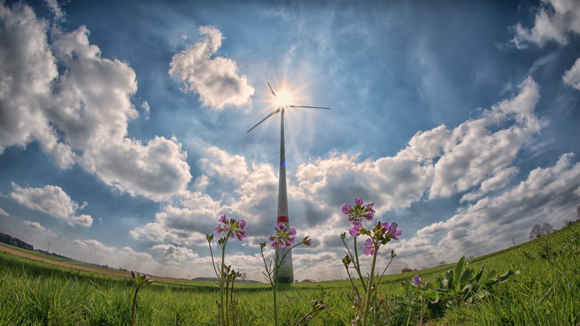Energy Council of Canada