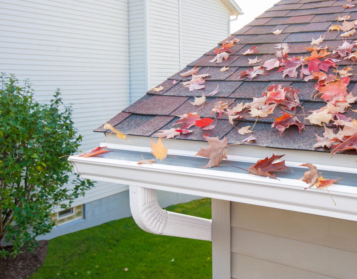 LeafFilter