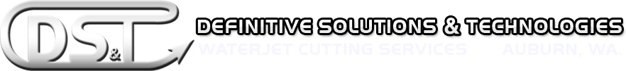 Definitive Solutions & Technologies logo.