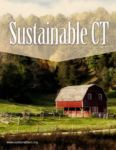 Sustainable CT brochure cover.