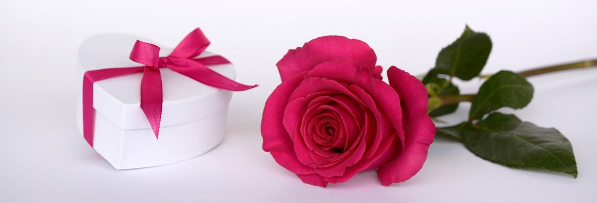 GoferGift for Valentine's Day.