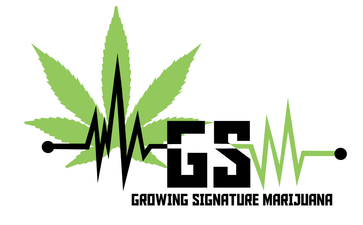 GSM, Growing Signature Marijuana logo. Click to email.