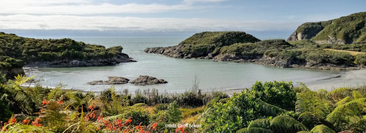 View of Constant Bay from the Buller District Council, New Zealand