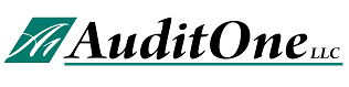 Audit One
