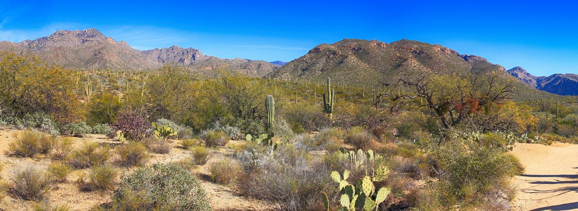 Florence Arizona