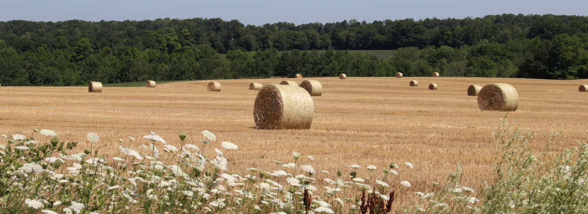 Township of Springwater, Ontario