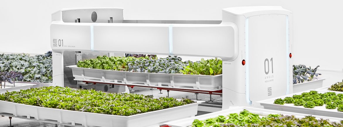 Hydroponics