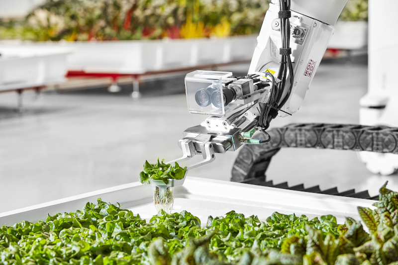 Hydroponics