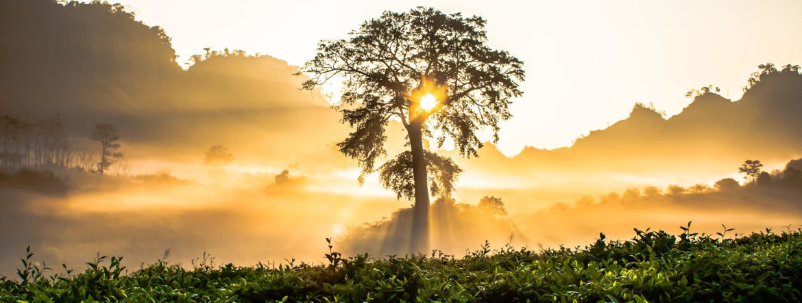 Building a More Sustainable Future of Travel