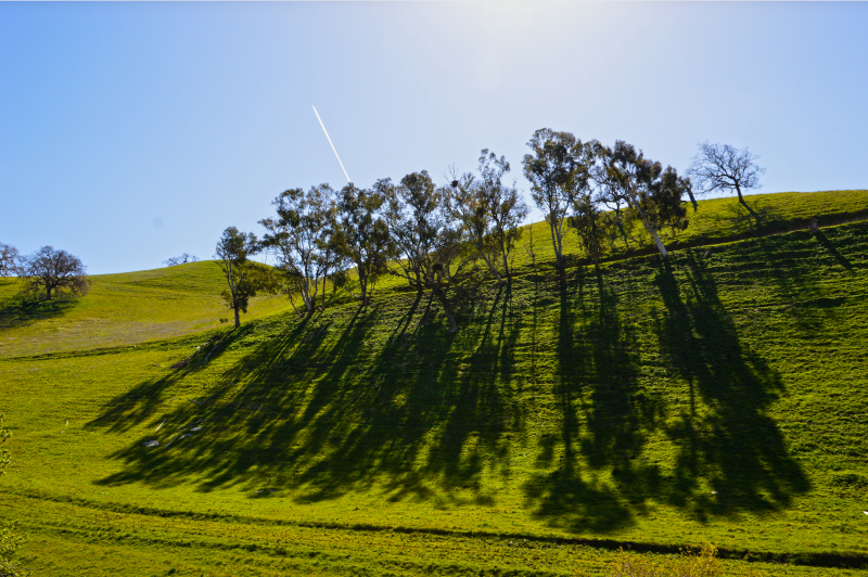 Pittsburg, California - Contra Costa County